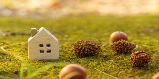 緑の苔の上に置かれた小さな家のオブジェと木の実で自然との調和を表現したイメージ